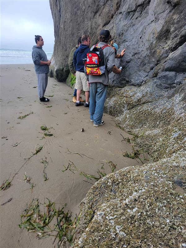 Investigating low tide